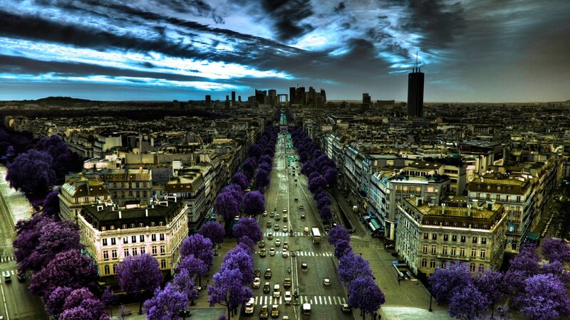 Aerial view of Paris with purple trees