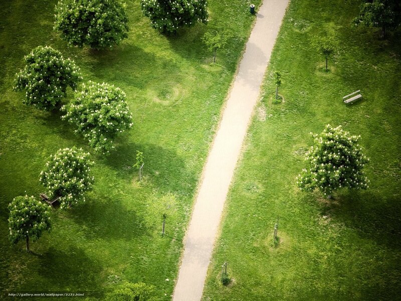 Aerial view of park path