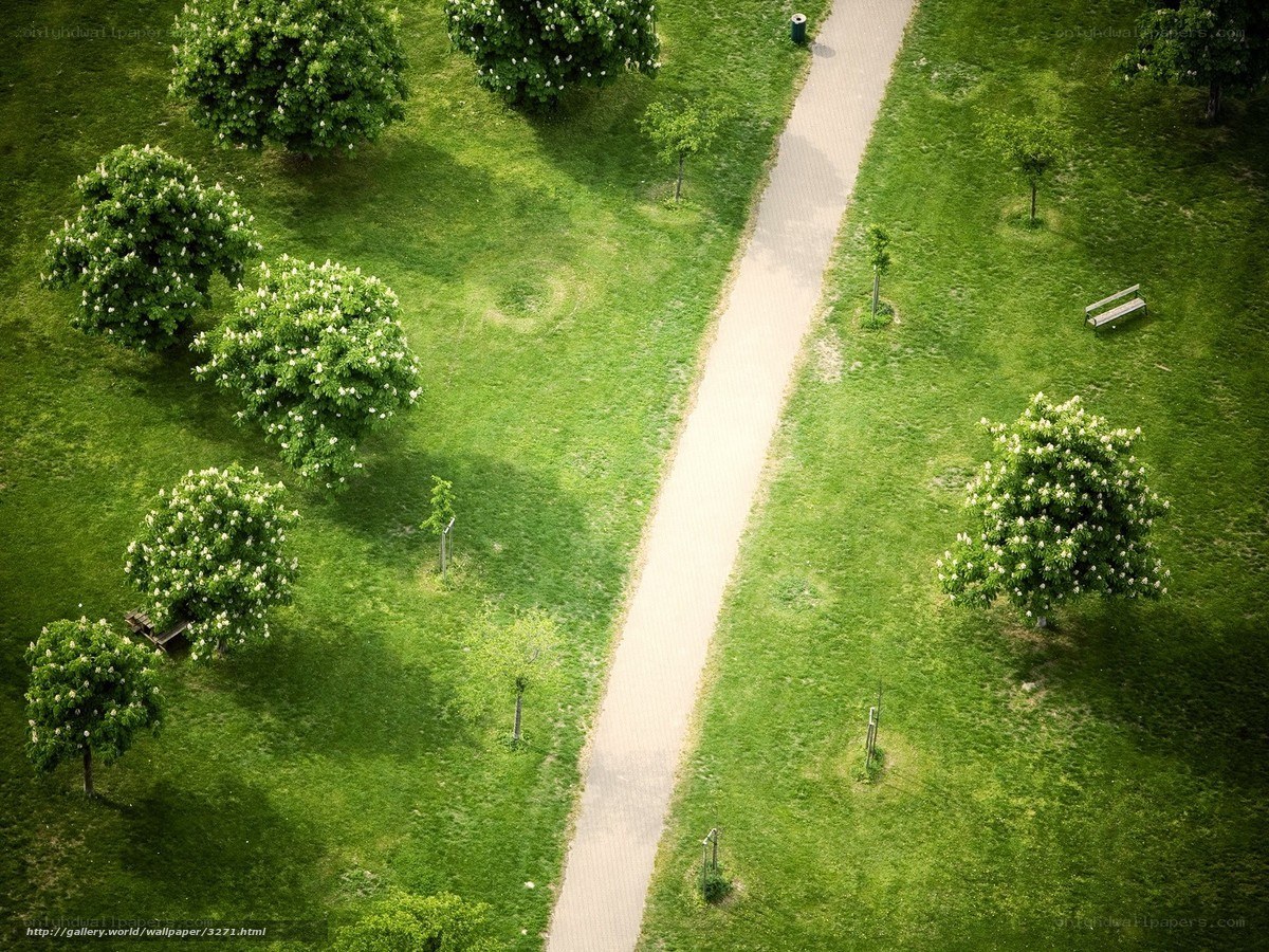 Aerial view of park path