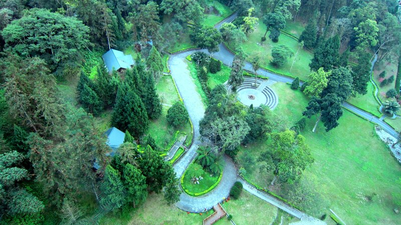 Aerial View of Park