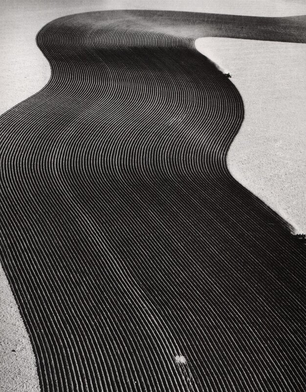 Aerial view of plowed field