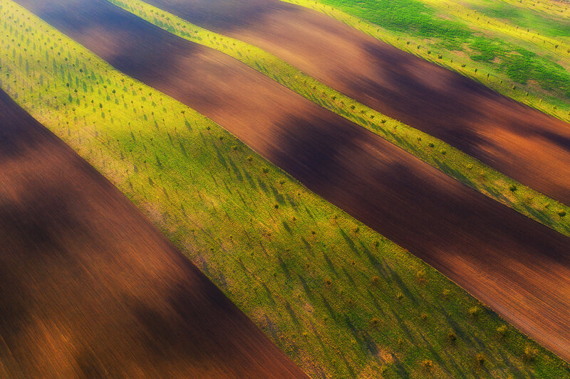 Aerial View of Plowed Fields