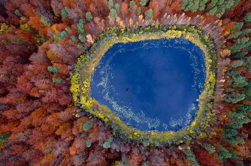 Aerial View of Pond — Blue