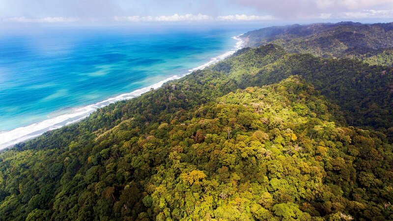 Aerial View of Rainforest Coast