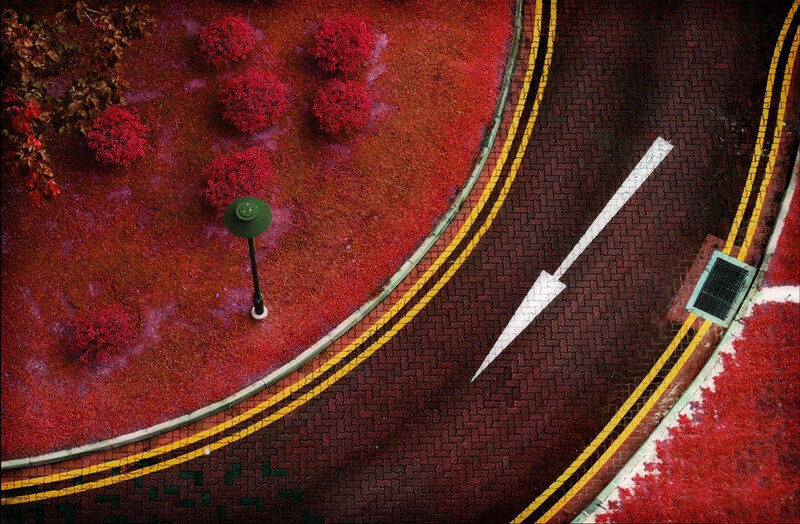Aerial view of red garden and road