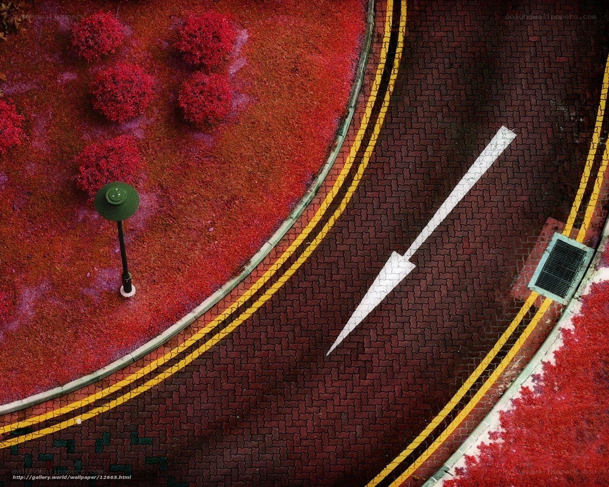 Aerial view of red garden and road