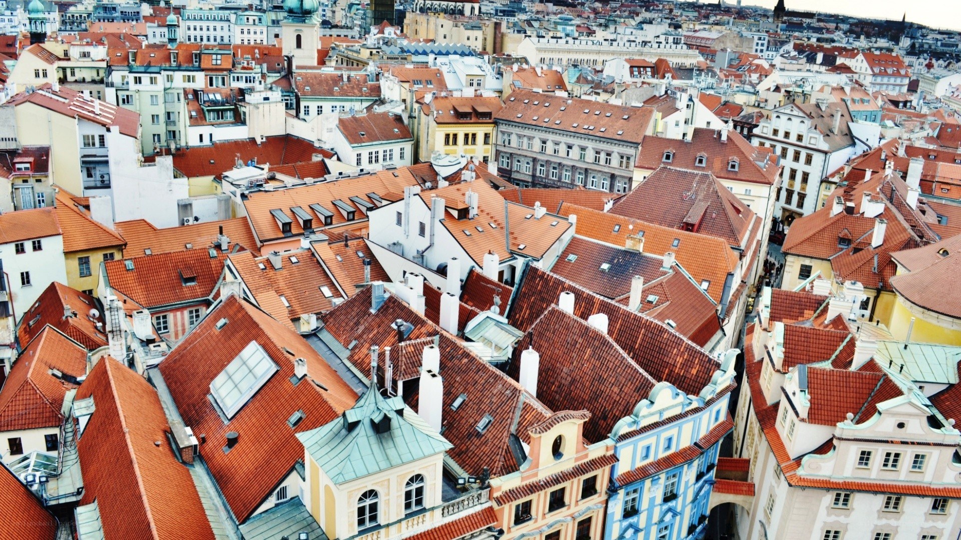 aerial view of red rooftops