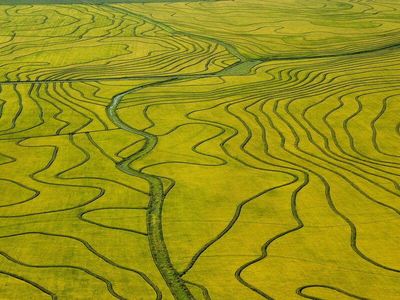 Aerial view of rice terraces