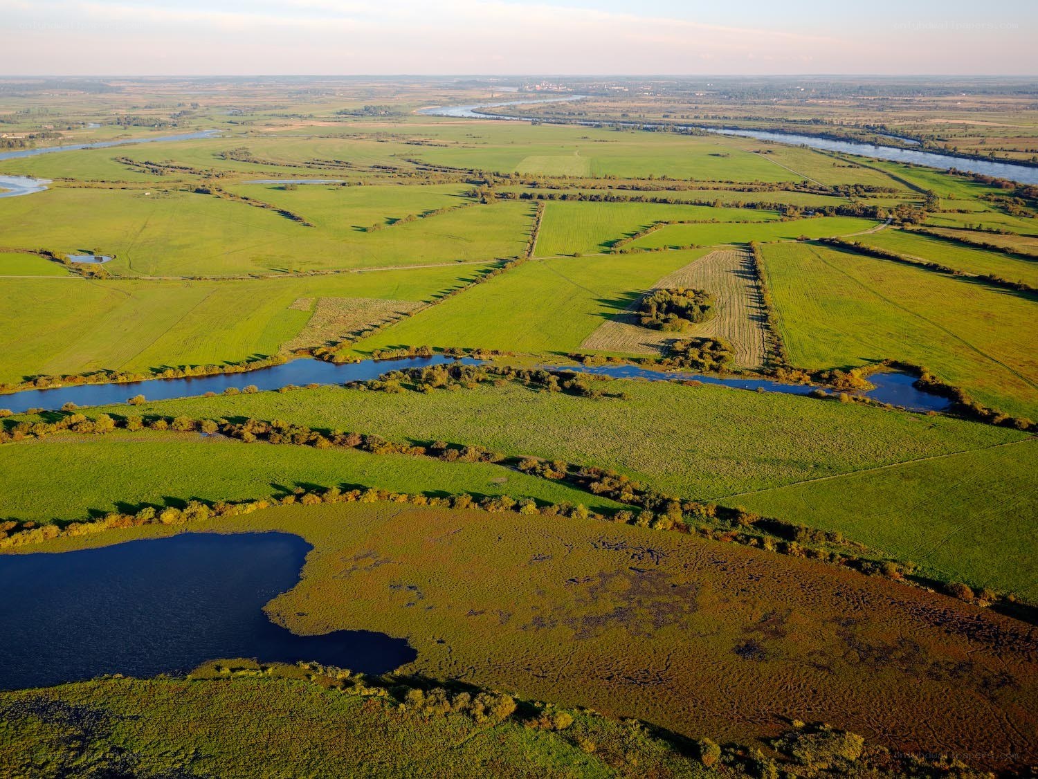 Aerial view of river and fields