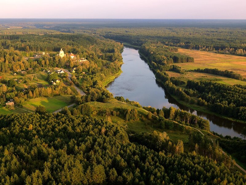 Aerial view of river and forest