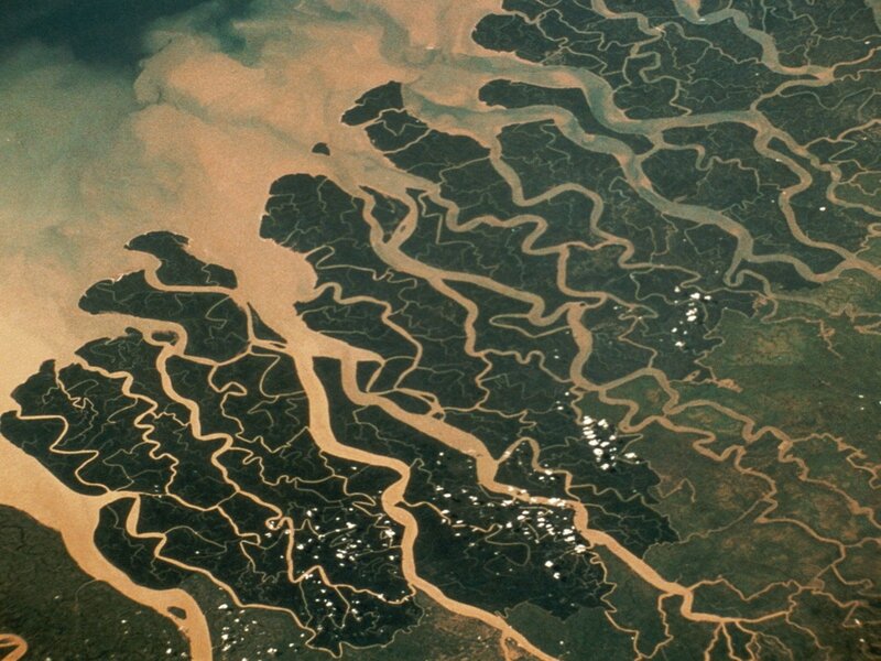 Aerial view of river delta