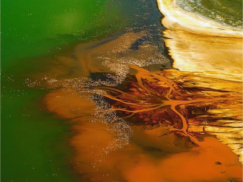 Aerial view of river delta