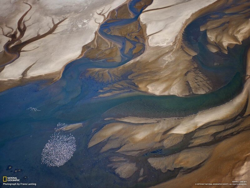 Aerial view of river delta
