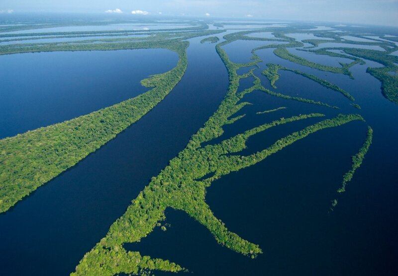 Aerial view of river delta