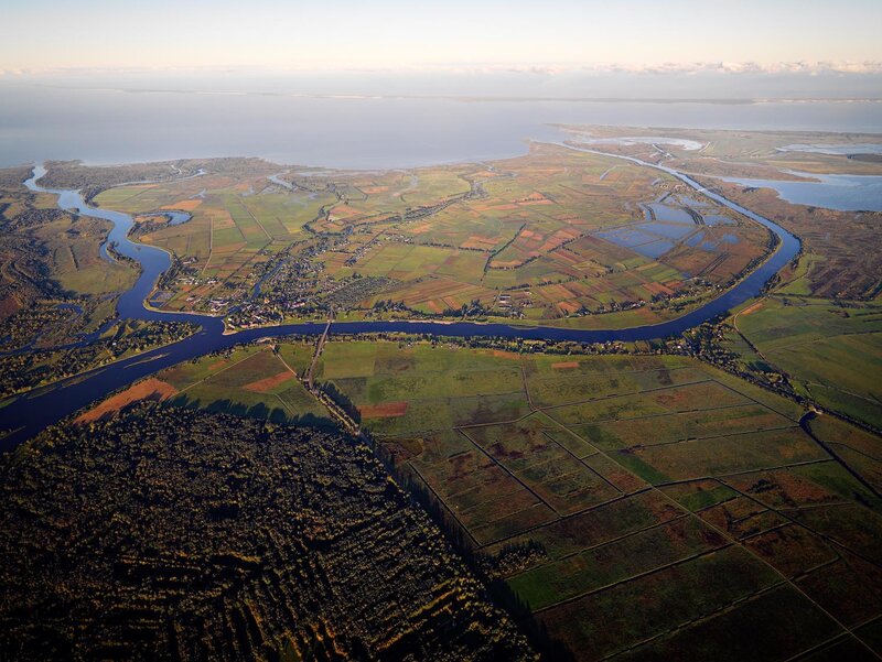 Aerial view of river delta