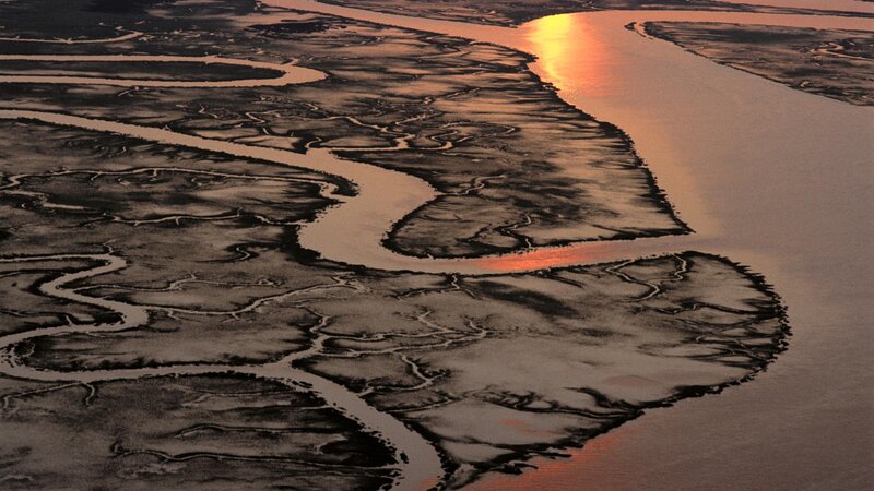 Aerial view of river delta at sunset