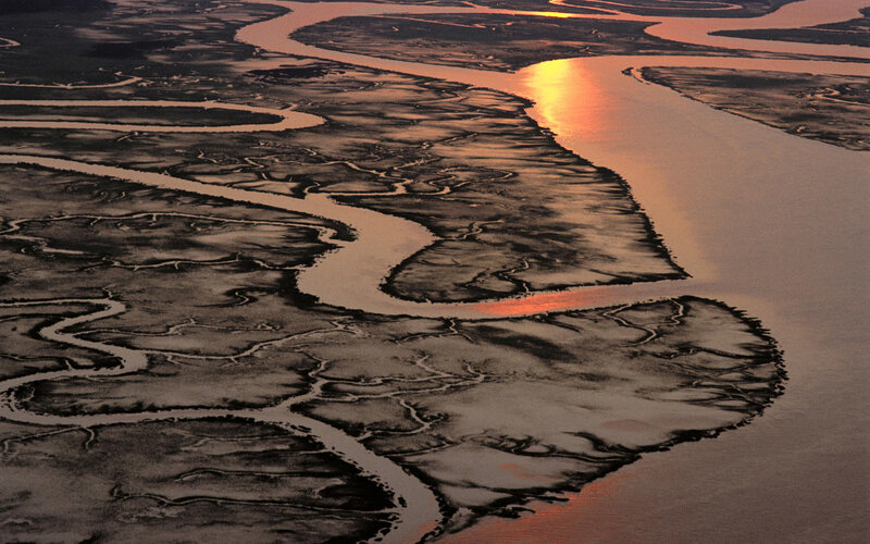 Aerial view of river delta at sunset