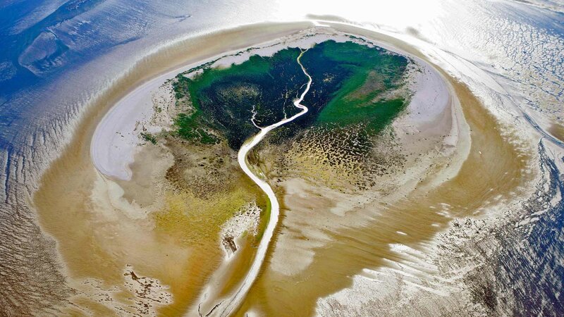 Aerial View of River Delta — Green, Serene, Photograph