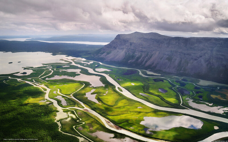 Aerial view of river delta