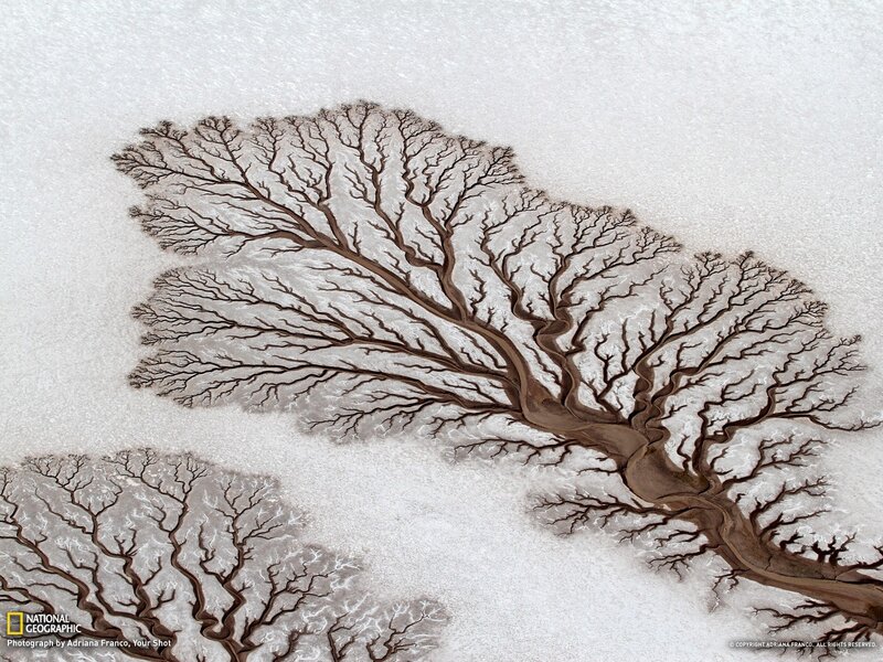 Aerial view of river deltas