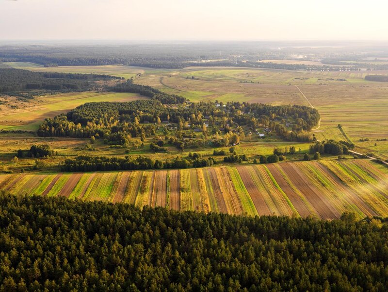 Aerial view of rural landscape