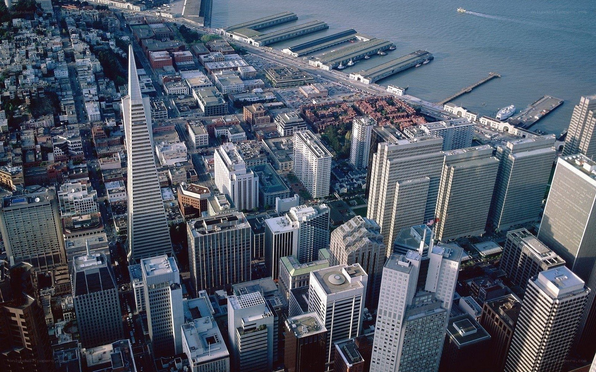 Aerial view of San Francisco skyline