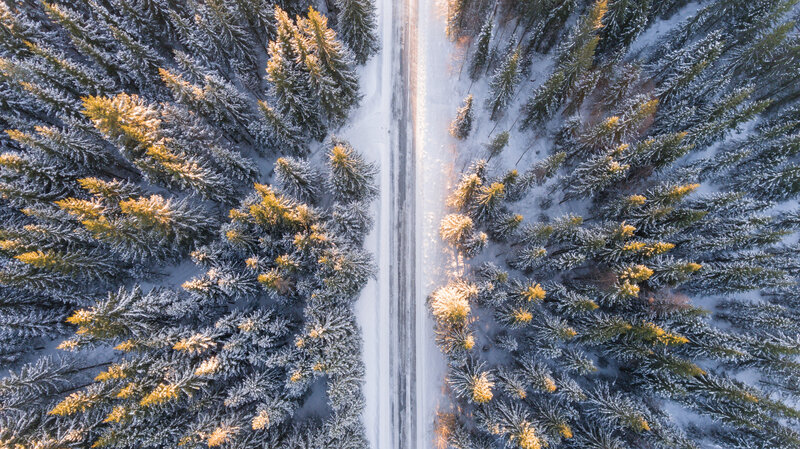 Aerial view of snowy forest road