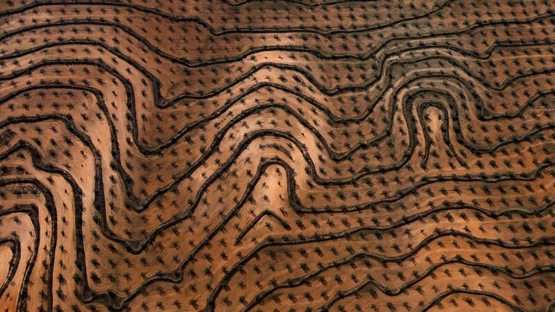 Aerial View of Terraced Fields — Brown