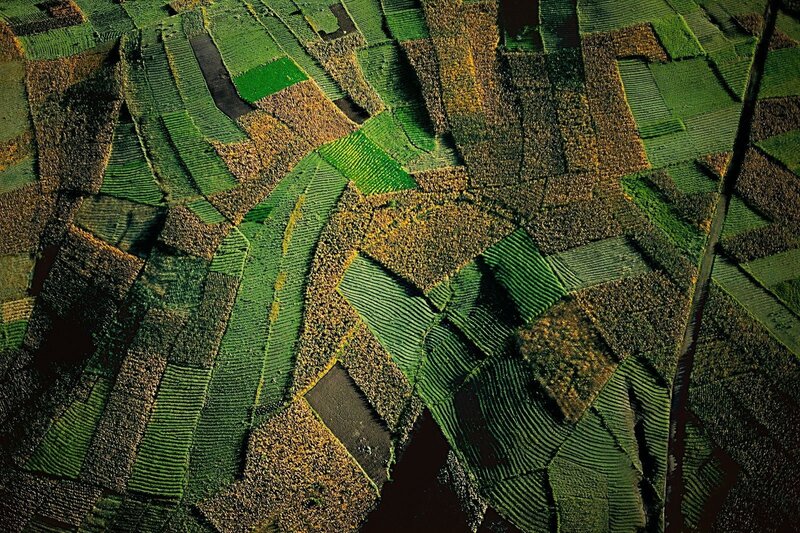 Aerial View of Terraced Fields — Green