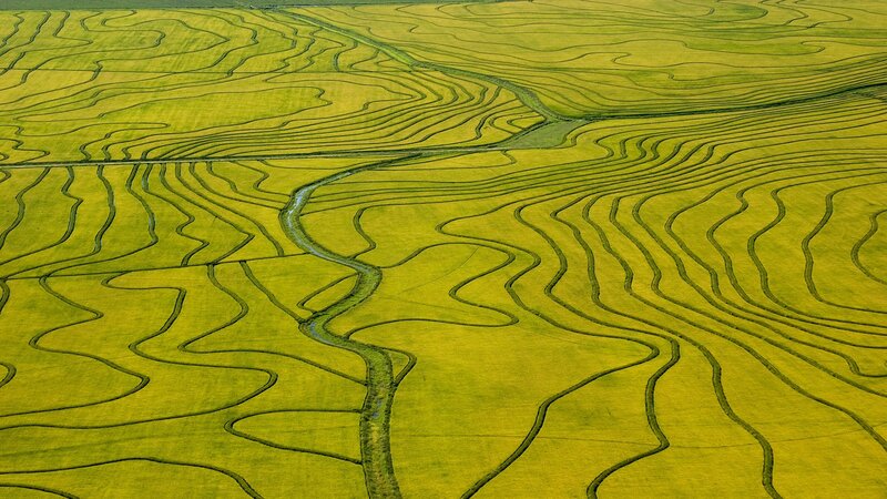 Aerial view of terraced rice fields