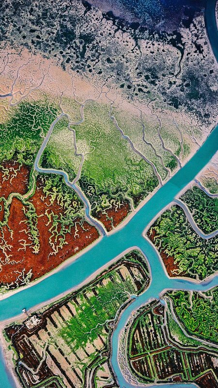 Aerial View of Tidal Flats — Green, Serene, Photograph