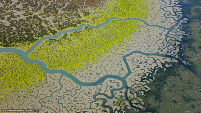 Aerial view of tidal flats