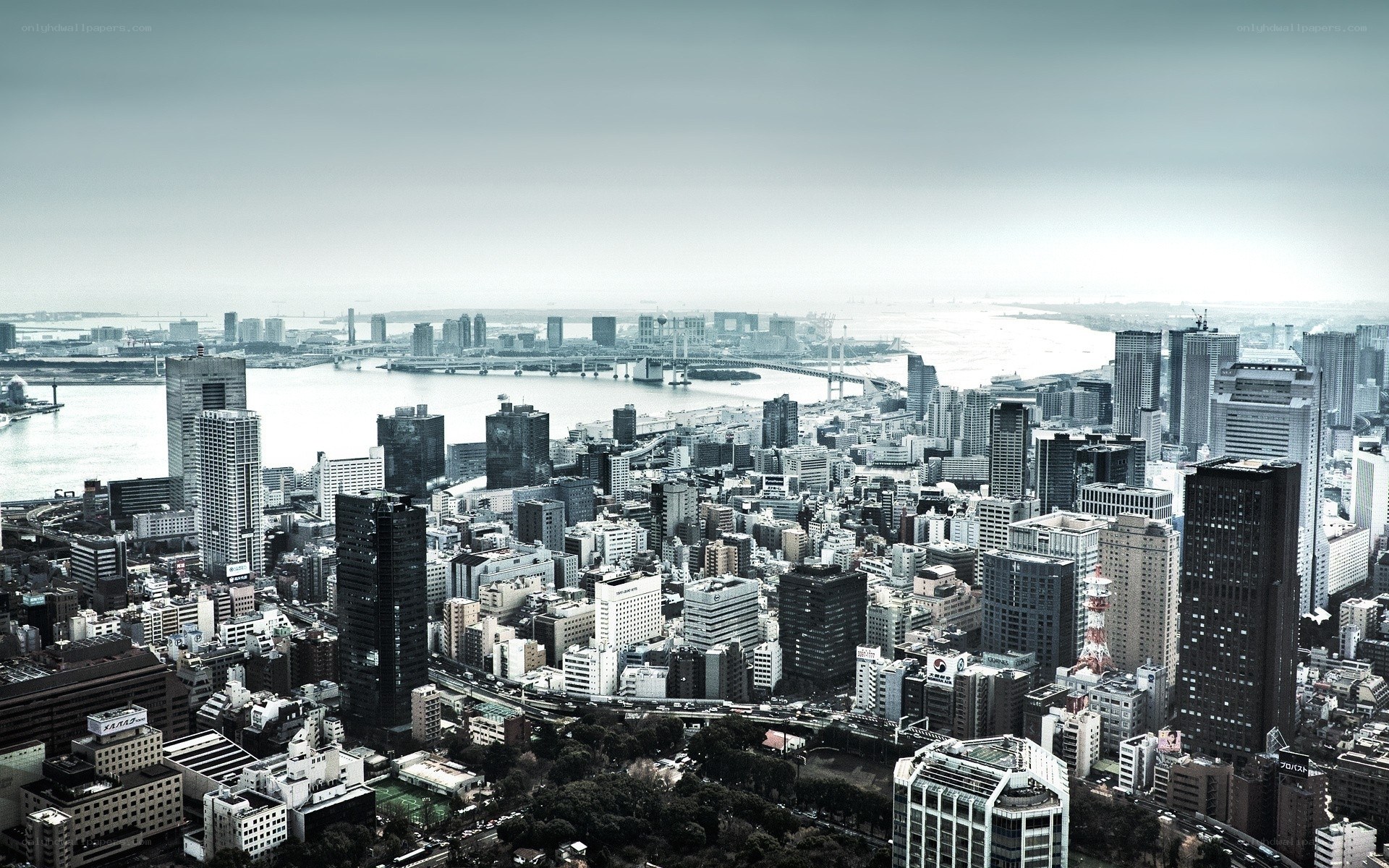 aerial view of tokyo cityscape
