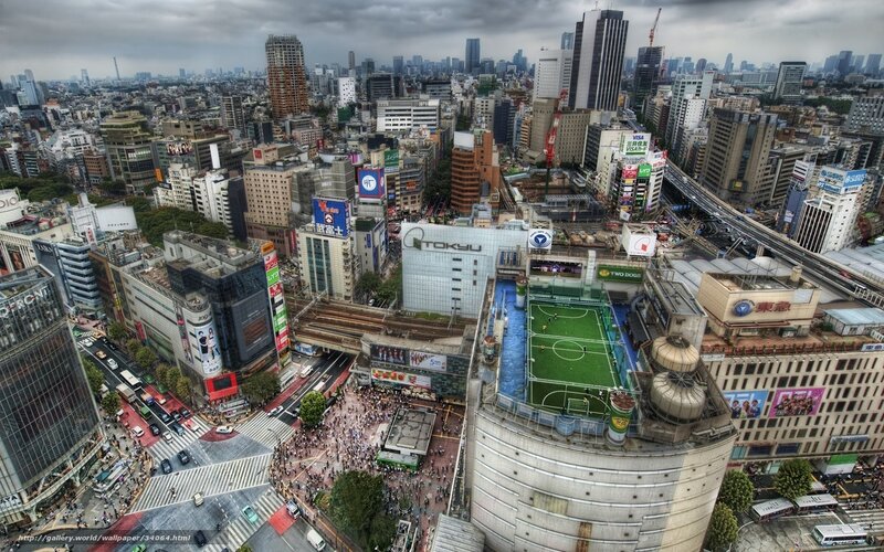 Aerial view of Tokyo cityscape