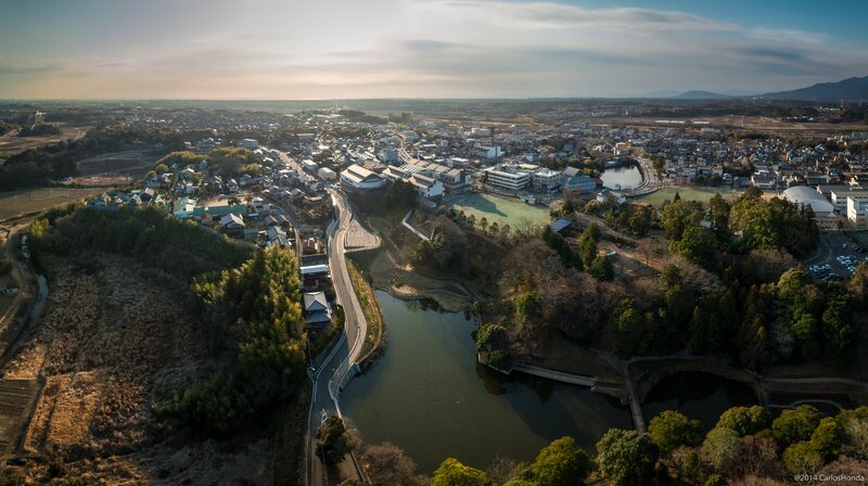 Aerial View of Town — Green