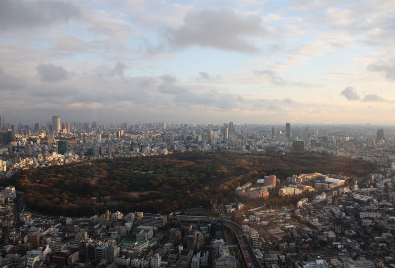 Aerial View of Urban Park