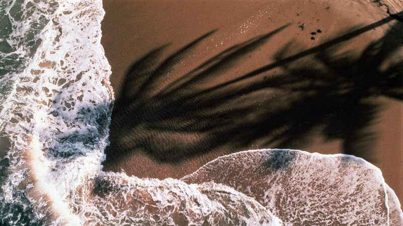 Aerial view of waves and palm shadow