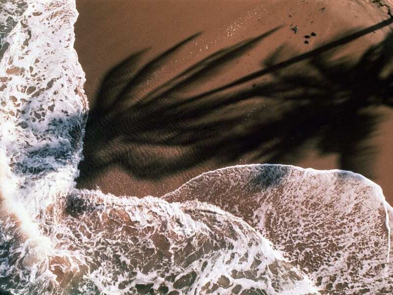 Aerial view of waves and palm shadow