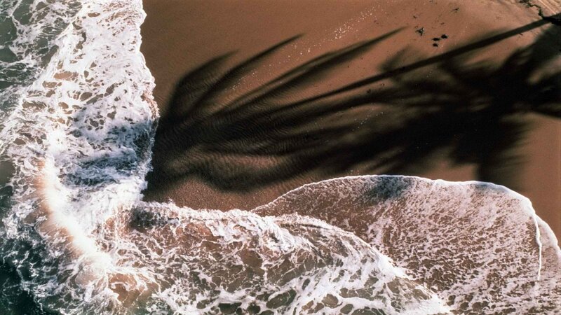 Aerial view of waves and palm shadow