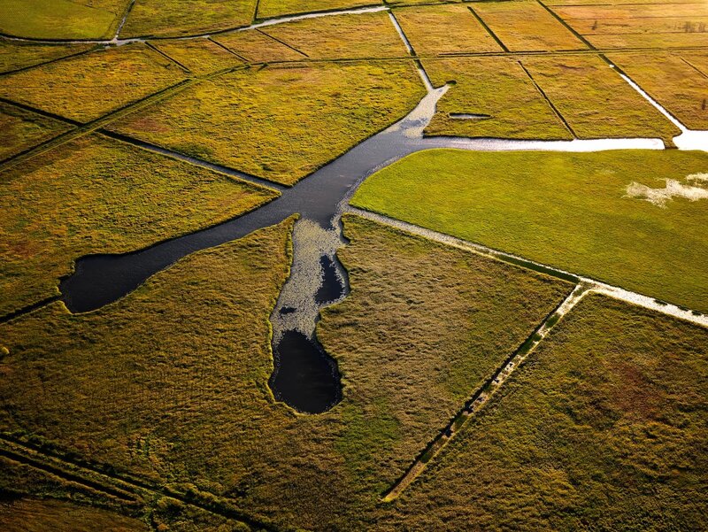 Aerial view of wetland fields