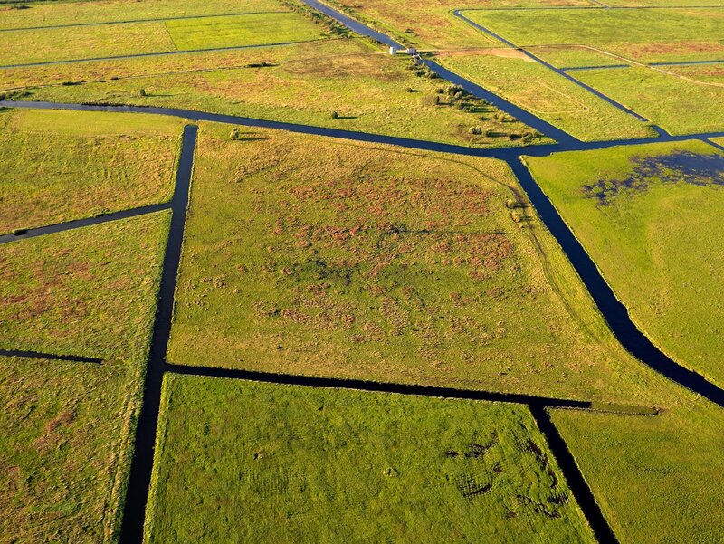 Aerial view of wetland fields