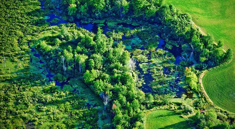 Aerial View of Wetland — Green, Serene
