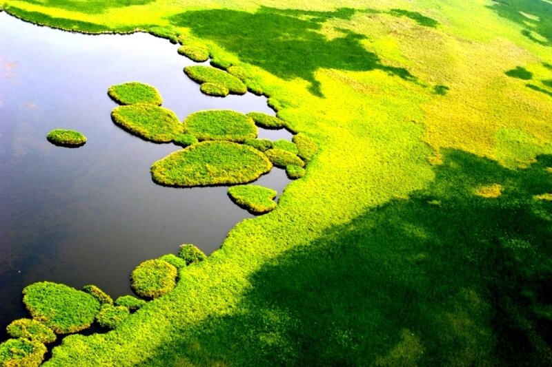 Aerial View of Wetland
