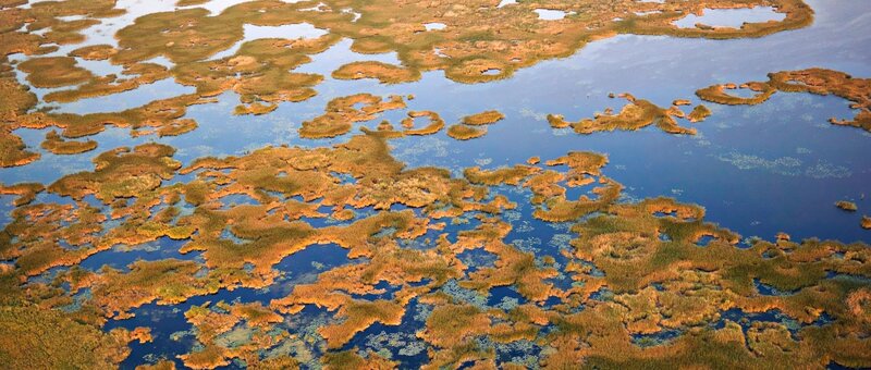 Aerial view of wetlands