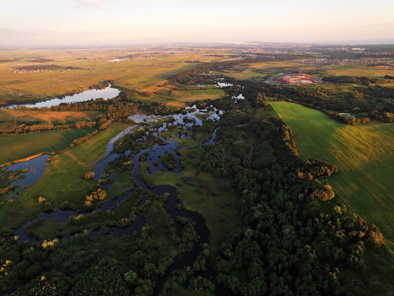 Aerial view of wetlands and fields