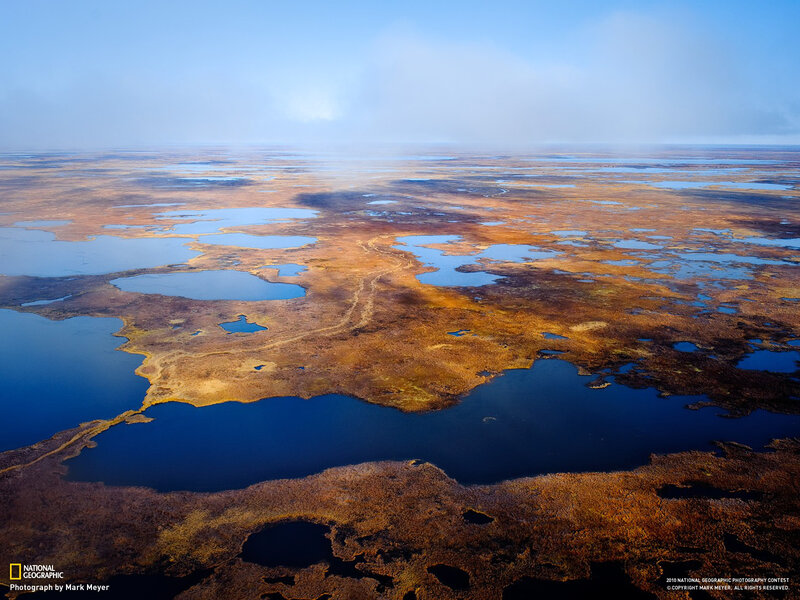 Aerial View of Wetlands — Blue