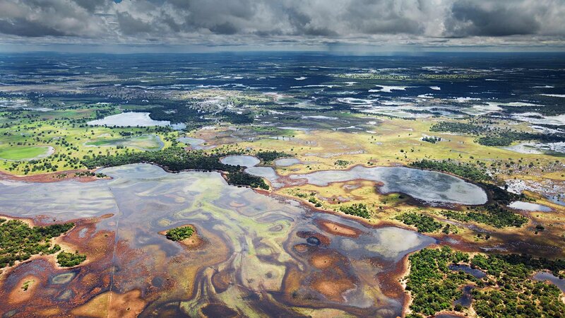 Aerial View of Wetlands — Green, Dramatic