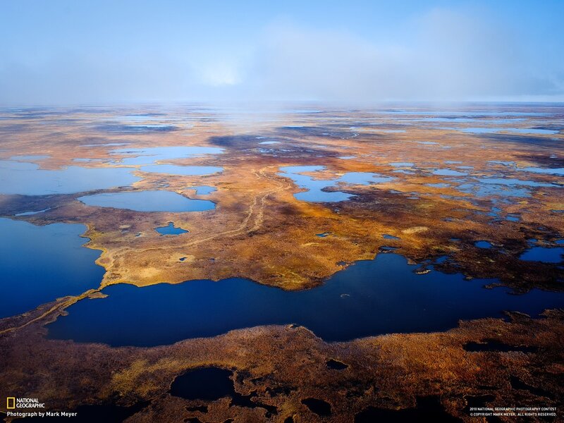 Aerial view of wetlands