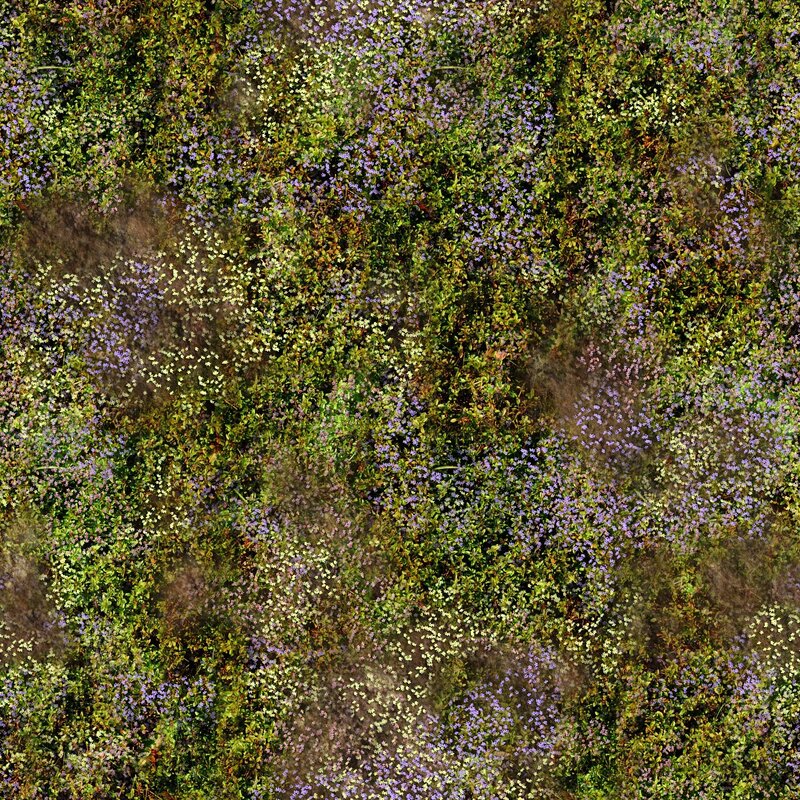 Aerial view of wildflowers