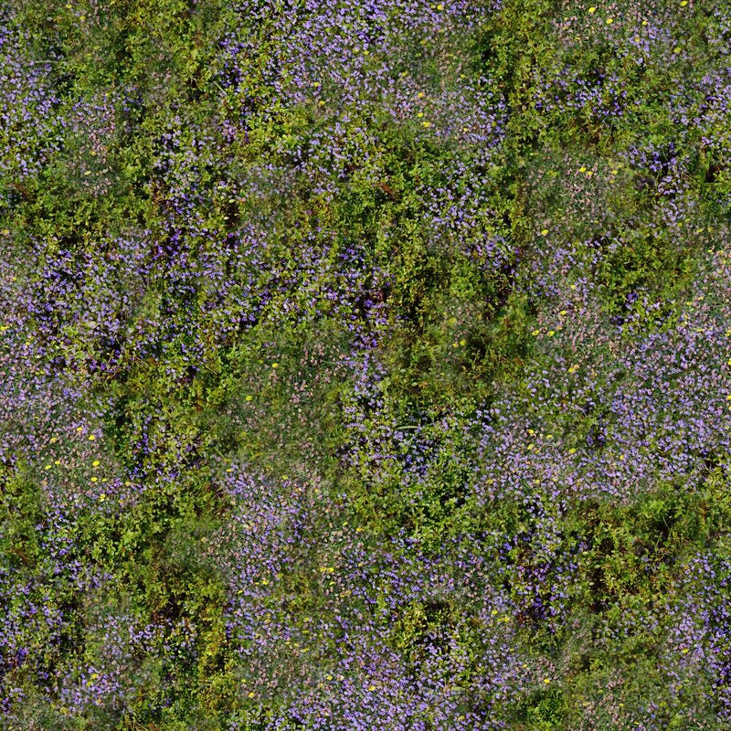 Aerial view of wildflowers
